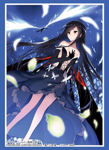 Vol. 3949 Dengeki Bunko "Accel World" Kuroyukihime