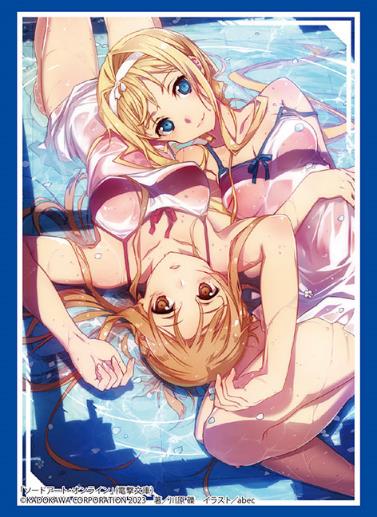 Vol. 4016 Dengeki Bunko "Sword Art Online" Asuna & Alice