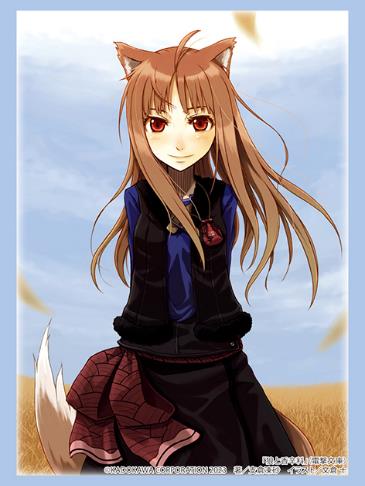 Vol. 4115 Dengeki Bunko "Spice and Wolf" Holo