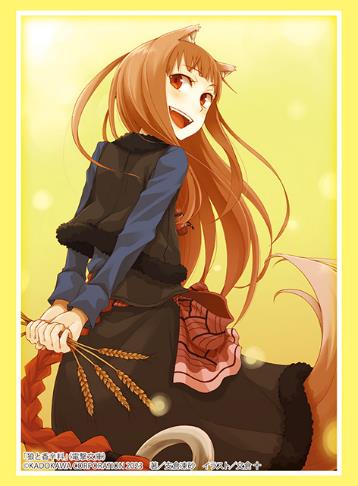 Vol. 4117 Dengeki Bunko "Spice and Wolf" Holo Part. 3