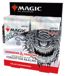 Forgotten Realms - Collector Booster Box